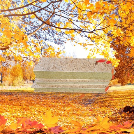 BackgroundEraser_20250303_070317123